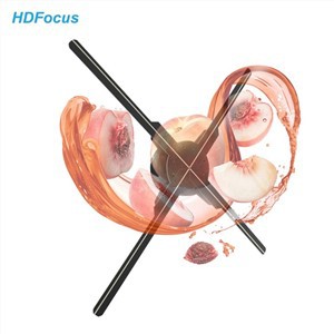 3D Led Display 50Cm Holograma Fan