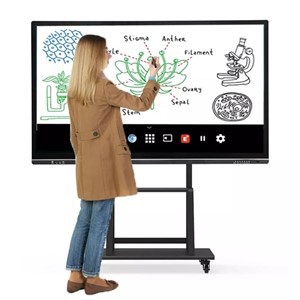 55 Inch 4K Touch Screen Whiteboard Interactive Smart Board