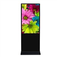 55 Inch Advertising Digital Signage Kiosk