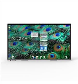 75-85-inch Interactive Smart Board Price