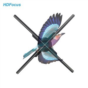 Hologram Wifi Led Hologram Player 50Cm 3D Led Screen Display